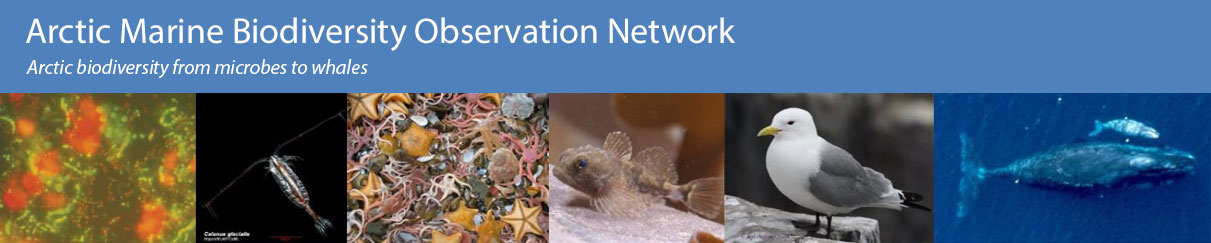 Arctic Marine Biodiversity Observation Network